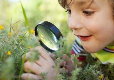 Inteligencia Naturalista Ecológica